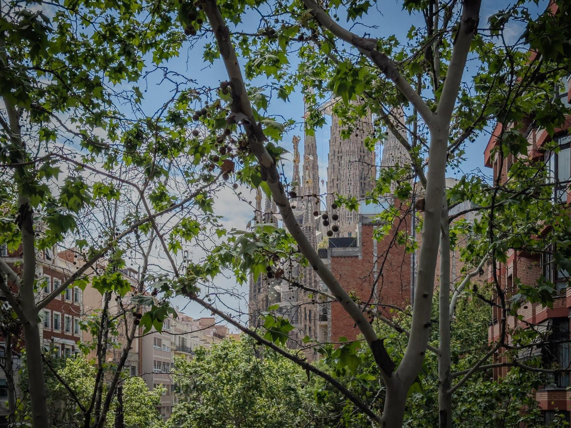 Stay U-Nique Apartments Gaudi I Barcelona Buitenkant foto